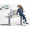 Height Adjustable Desks