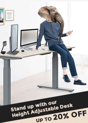 Height Adjustable Electric Standing Desk