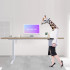 Electric Height Adjustable Desk