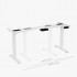 Dual Motor 2 Height Adjustable Electric Standing Frames